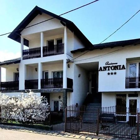 Pensiunea Antonia Vatra Dornei Luaran gambar