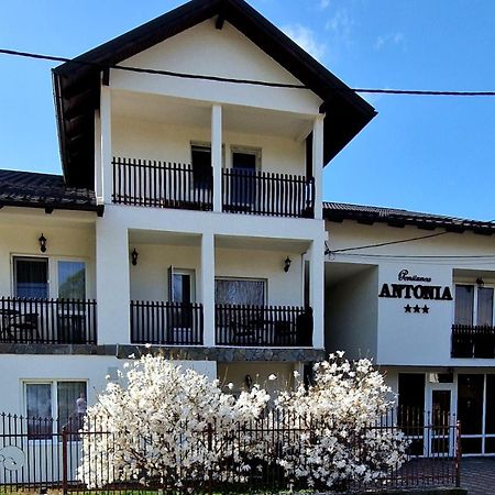 Pensiunea Antonia Vatra Dornei Luaran gambar
