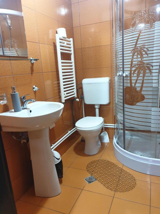 Pensiunea Antonia Vatra Dornei Luaran gambar