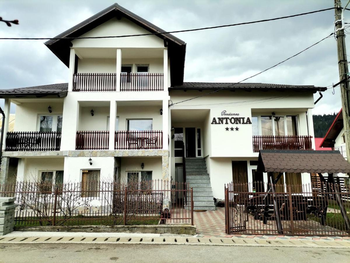 Pensiunea Antonia Vatra Dornei Luaran gambar