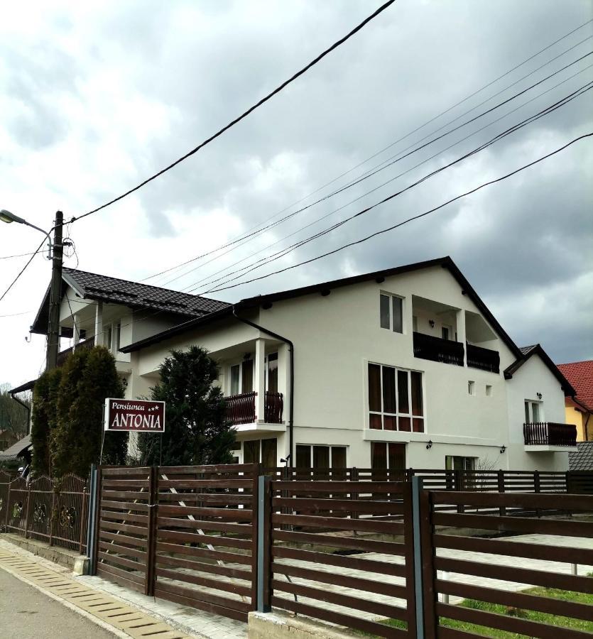 Pensiunea Antonia Vatra Dornei Luaran gambar