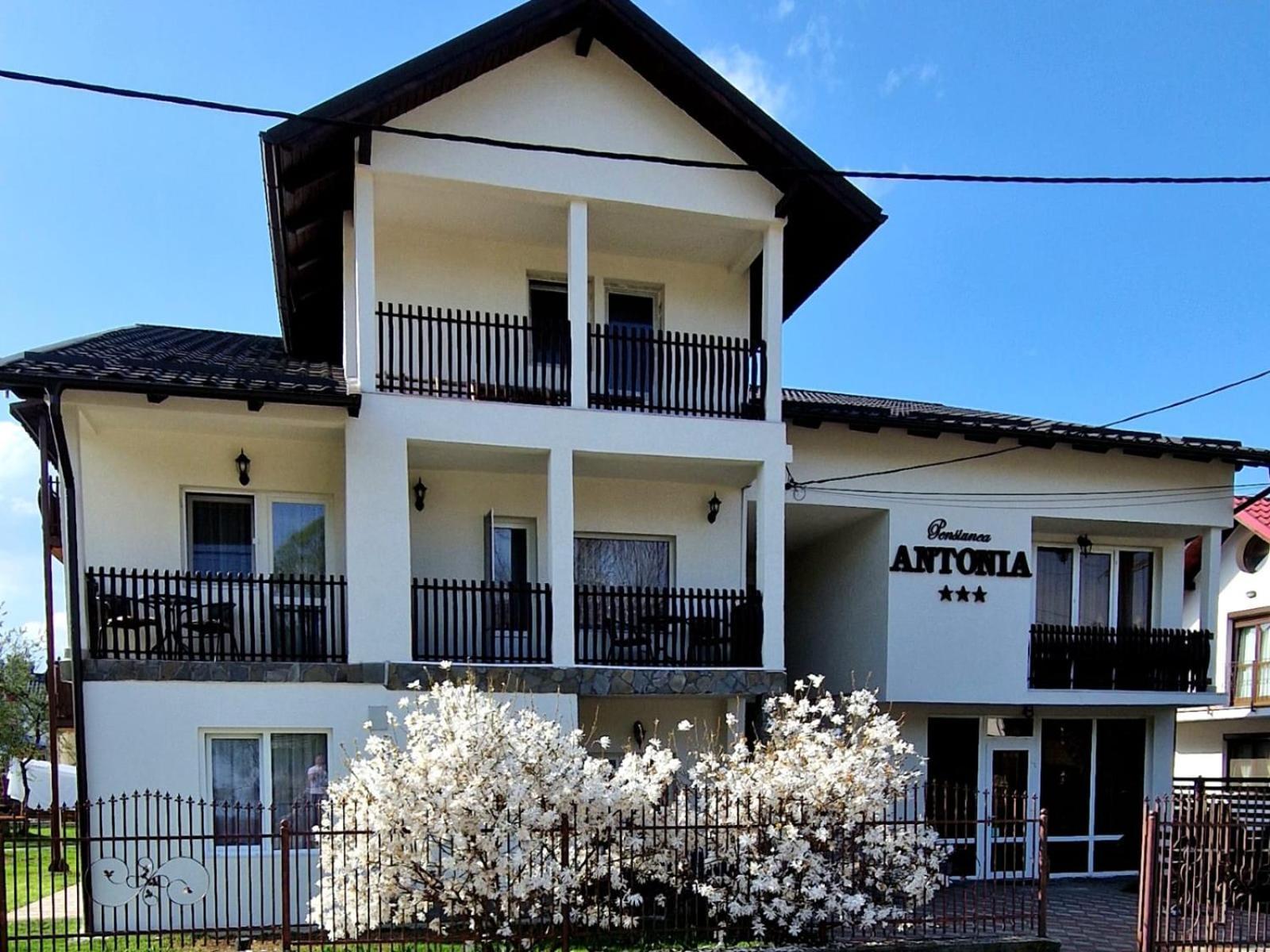 Pensiunea Antonia Vatra Dornei Luaran gambar