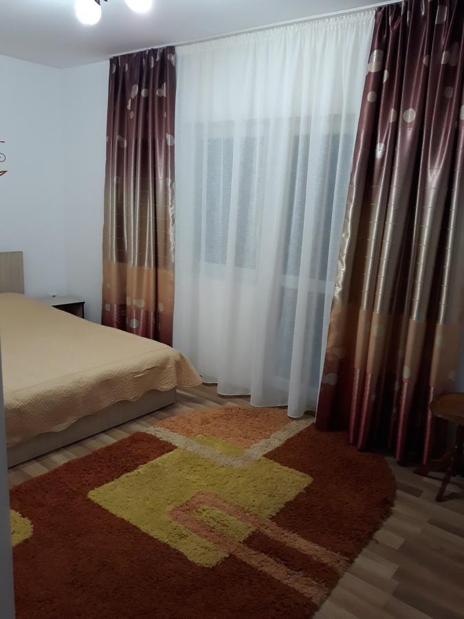 Pensiunea Antonia Vatra Dornei Luaran gambar